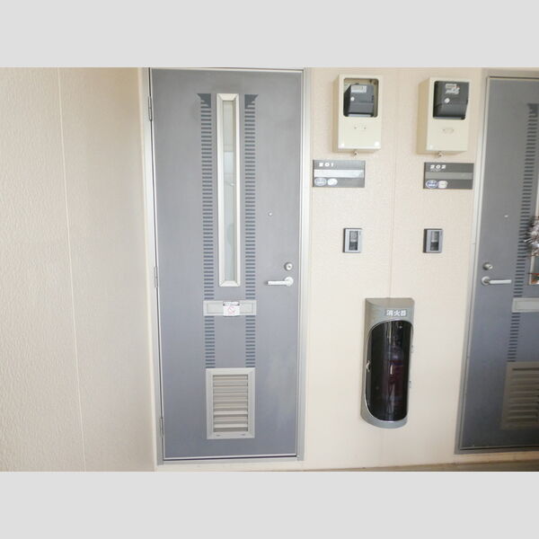 ナチュラルハウス　A 玄関