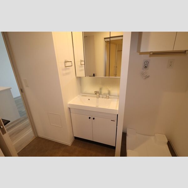 THE RejuvePort KISARAZU0802号室 洗髪洗面化粧台