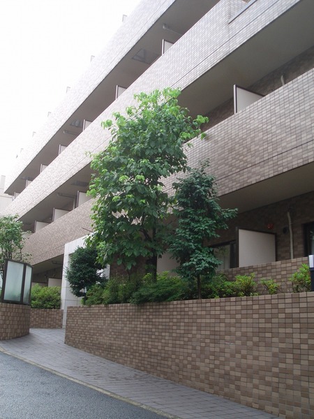 菱和パレス早稲田302号室 外観