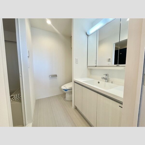 ロイジェントパークス四ツ谷1103号室 洗面所