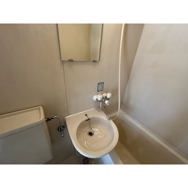 ブルーメヤツカ38203号室 内観