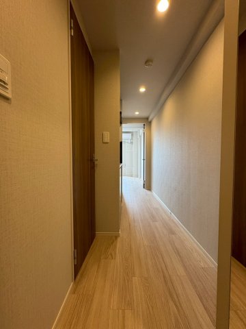 DIPS西新井603号室 玄関