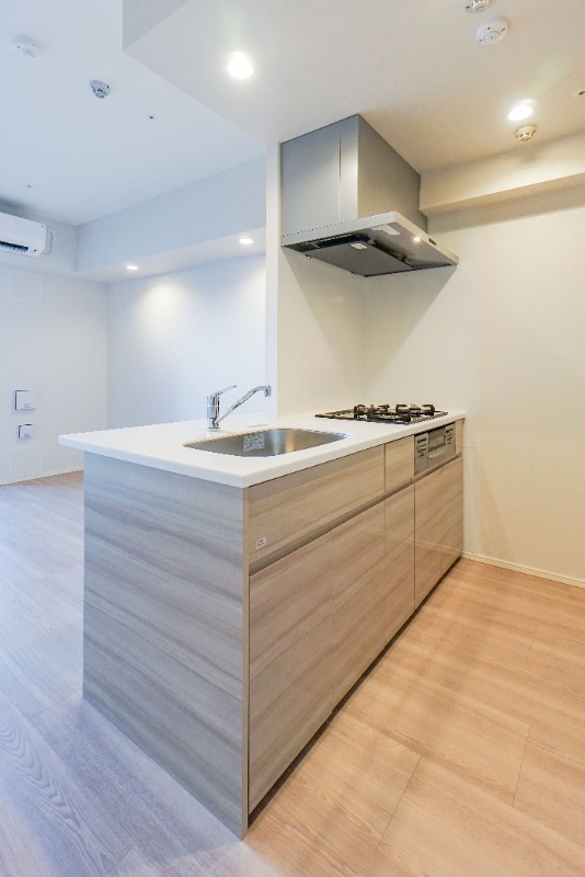 シーズンフラッツ押上サウス7階 （他部屋参照）