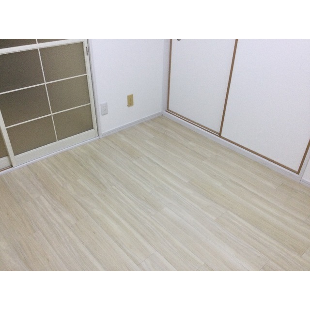エステイトE藤沢　旧レピュート斉藤Ⅲ106号室 内観