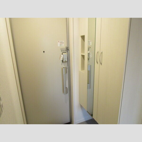 ディーグラシューズ トールシューズBOX