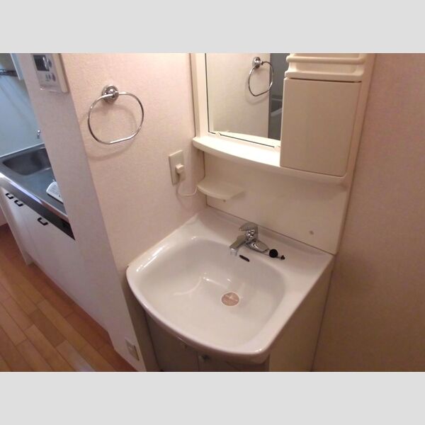 アバンウェル ディッツォ201号室 洗面所