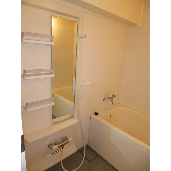 ラ・ポーム0502号室 内観