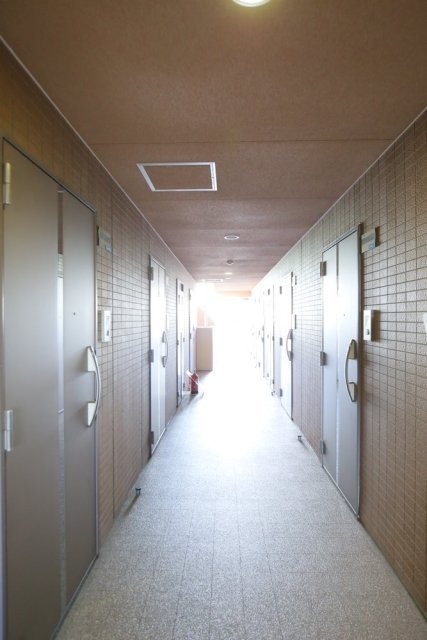 スカイコート都立大学第３1階 その他共有部分