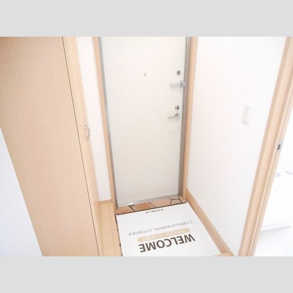 フォレストパル トールシューズBOX