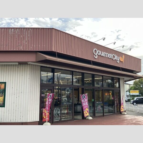 セレスティア柴又Ⅳ101号室 グルメシティ柴又店　310m(徒歩4分)