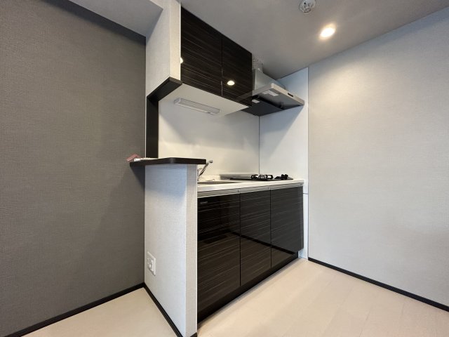 グローリオシェルト駒込0203号室 キッチン
