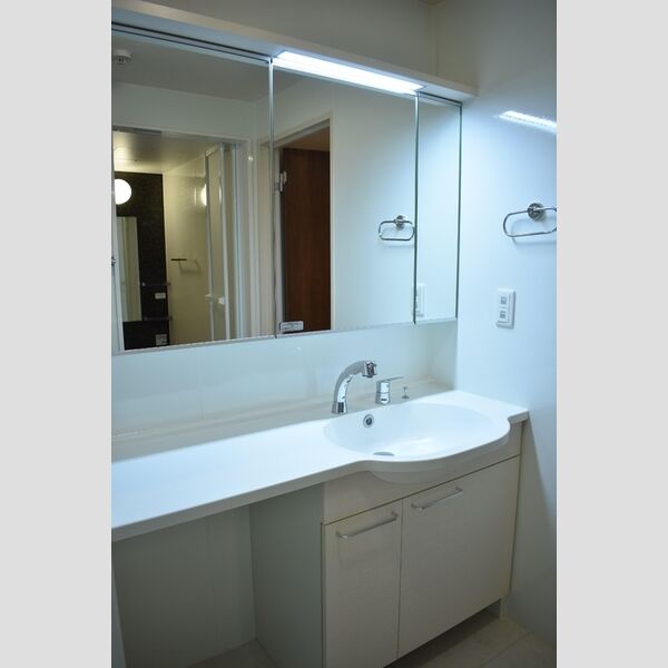 フローラ306号室 洗髪洗面化粧台