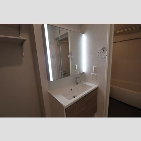 RoYal 洗髪洗面化粧台