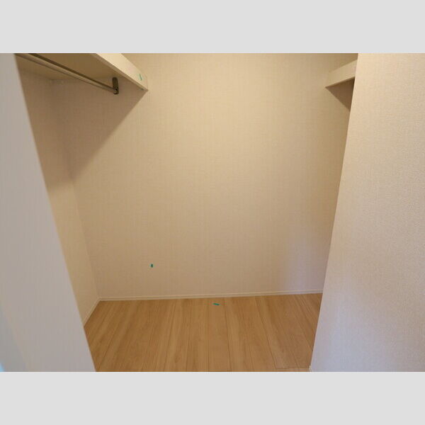 セレナオモダカ 収納