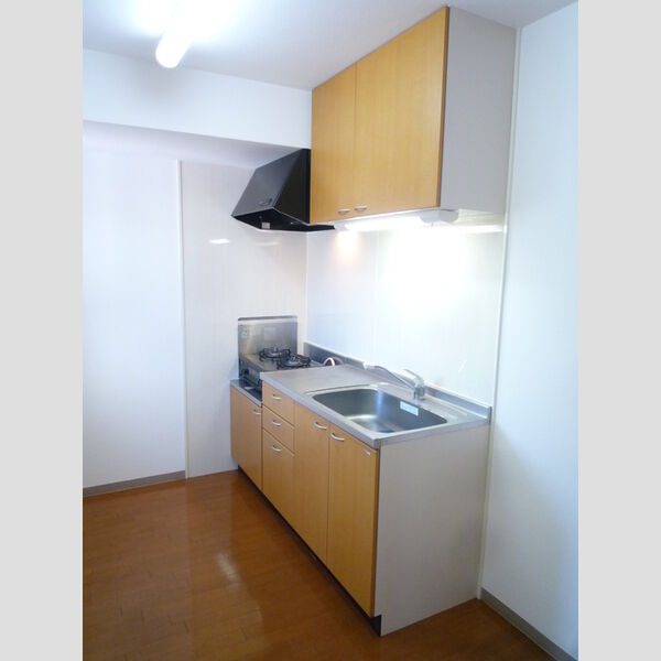 ビラデステ中台 独立キッチン