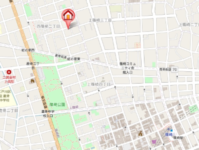 エヴァーグリーンＡ null