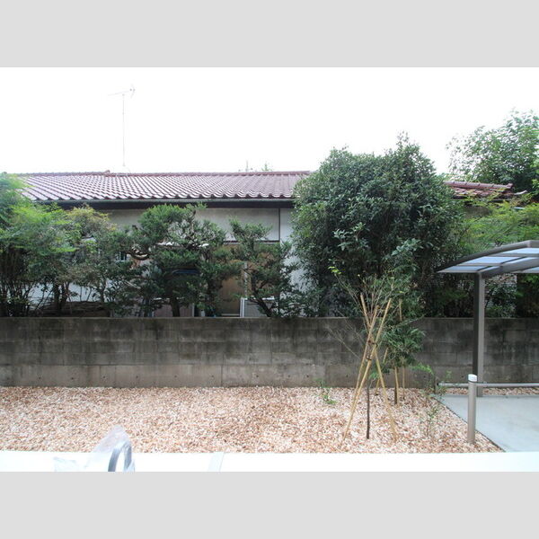 イーレクスN 周辺