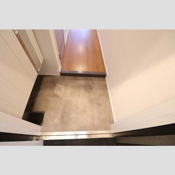 グレースクレスト八潮606号室 玄関