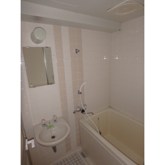 ビジュアルピア402号室 洗面