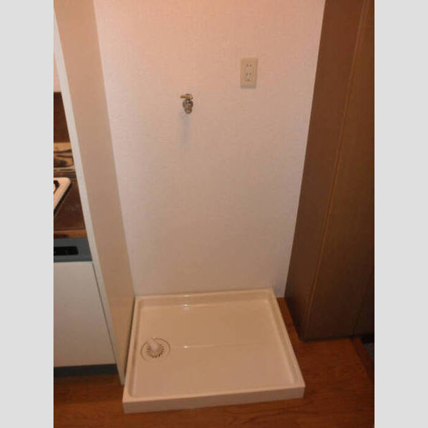 ラフィネ池之端201号室 室内洗濯機置き場