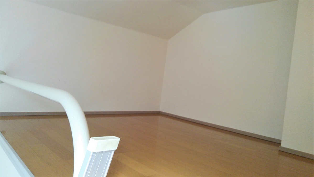 レオパレスＷＩＬＬ103号室 ロフトスペース