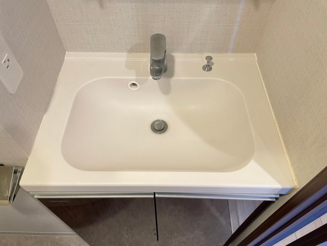 DIPS桜台駅前 洗面