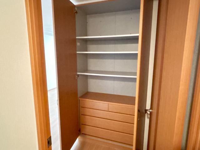 ＴＨ・ルミナス101号室 リビング収納