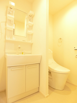 リブリ・MiiA1階 洗面