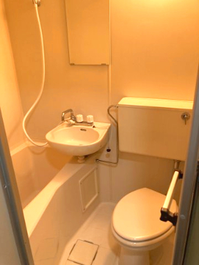 ファインライフ平塚306号室 洗面