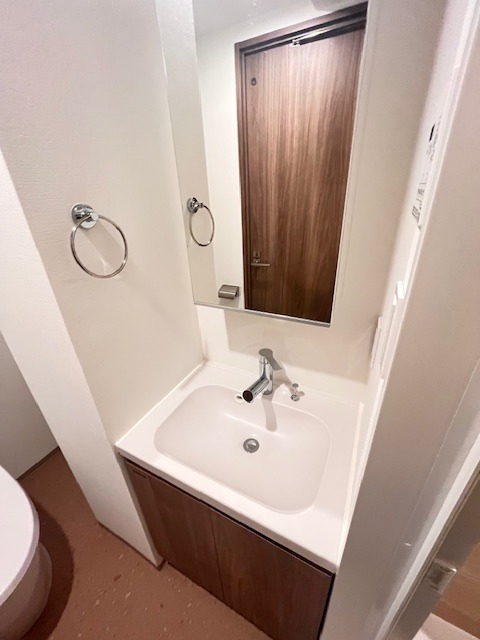 Ｎ－ｆｌａｔｓ東向島1階 洗面