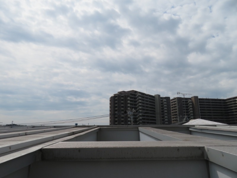 ハウス・カメアリ1階 別のお部屋の写真です