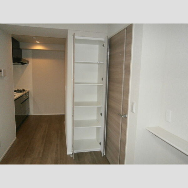 ロイジェントパークス錦糸町505号室 収納