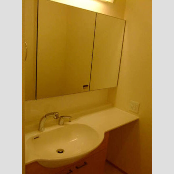 イルソーレ吉川美南　ロッソ105号室 イルソーレ吉川美南ロッソ洗面台