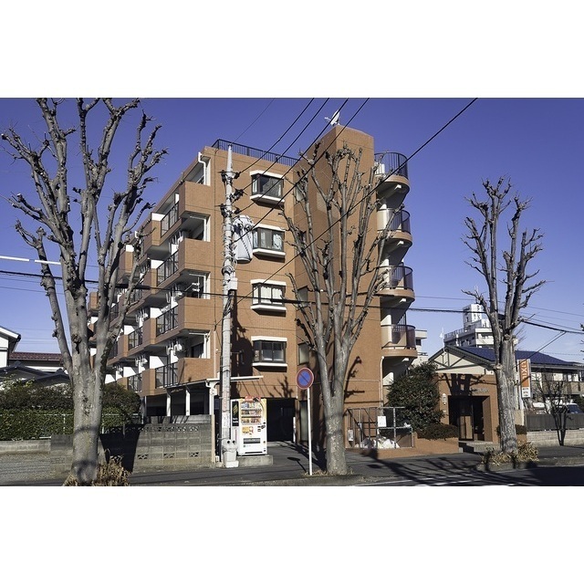 メゾンゼルコーワ506号室 外観