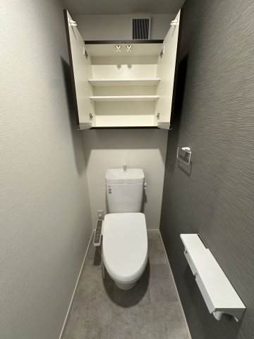 ベイルーム本厚木Norte103号室 トイレ