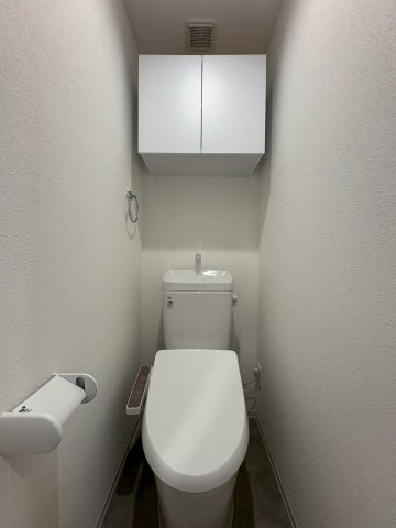 DIPS竹ノ塚駅前501号室 トイレ