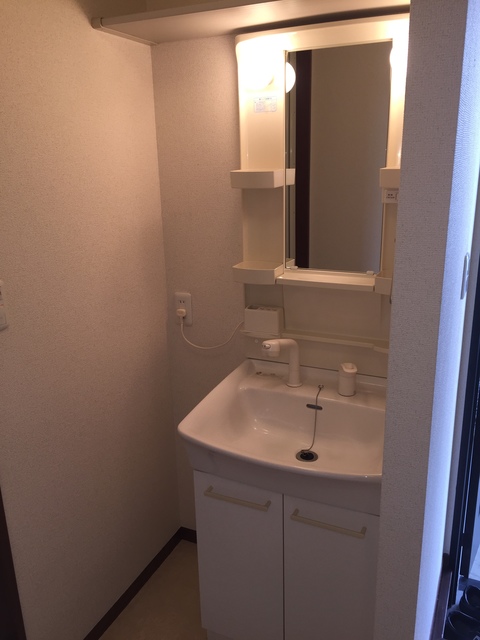 スカイハイツⅠ0101号室 洗面