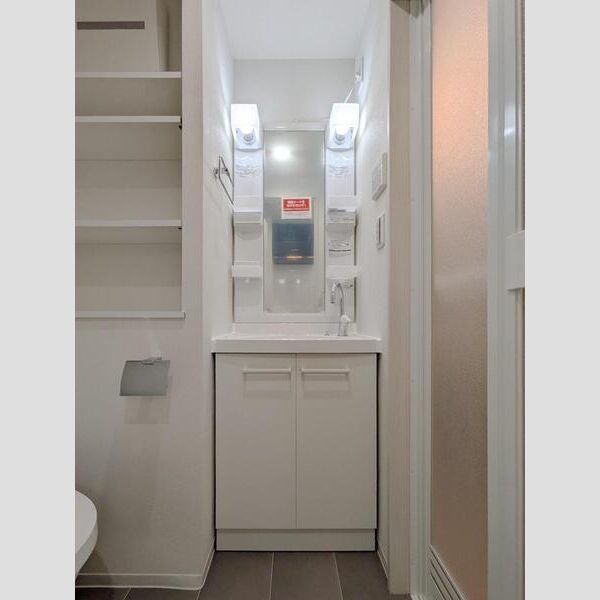 Alivis船橋East.WestEast1102号室 洗面