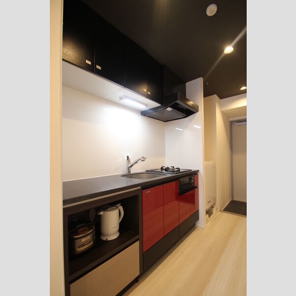 ロイジェントパークス四ツ谷1007号室 キッチン