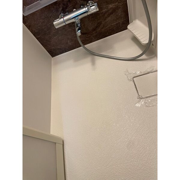 Sugar Grace Kawasaki301号室 部屋その他