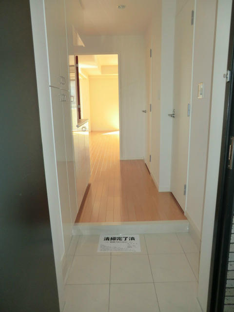 アイビーテラス602号室 玄関