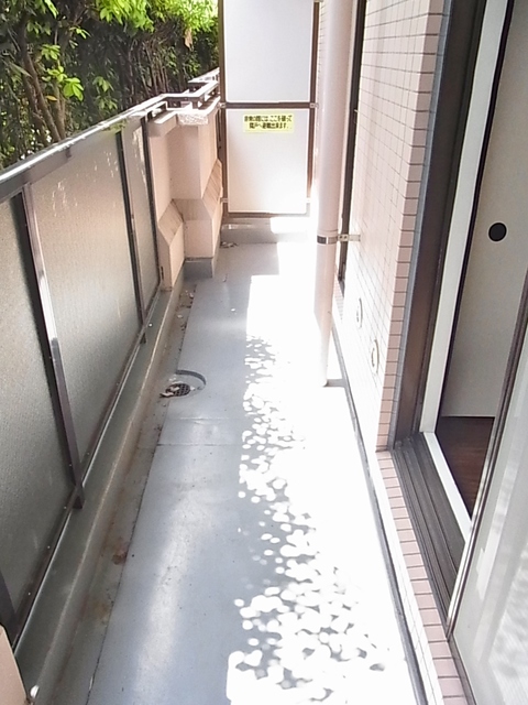 ＣＥＲＥＺＡ　ＳＡＫＡＭＯＴＯ0104号室 ※現況優先