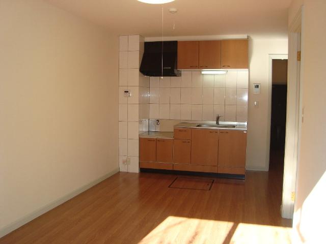 スプリングチェリーⅡ リビング