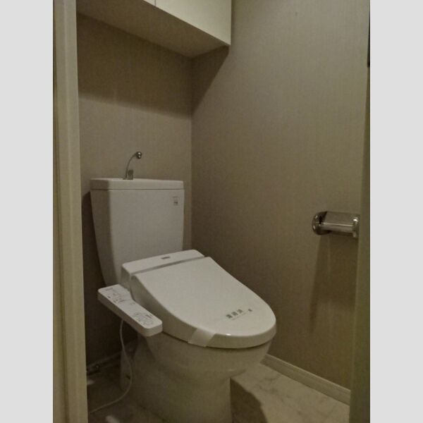 カスタリアお茶の水0201号室 トイレ