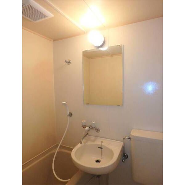 メゾン・ド・マニエール0306号室 洗面