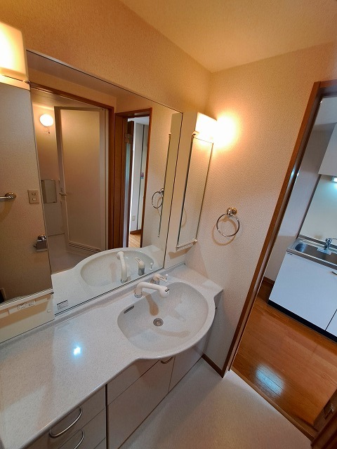 サンヴィアーレ・グランサージュ 洗面