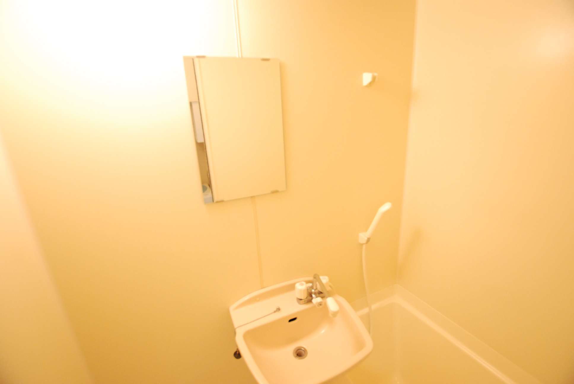 レオパレスおおどり213号室 部屋その他