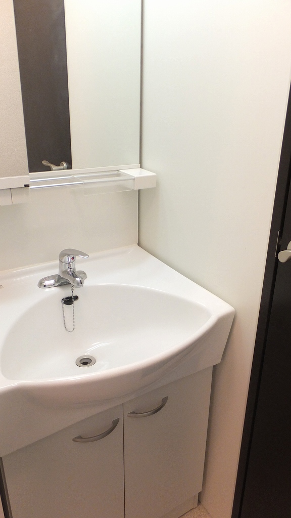 レオネクストコクメイハイツＡ 独立洗面台