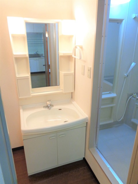 ロイヤルパークヒル 洗面