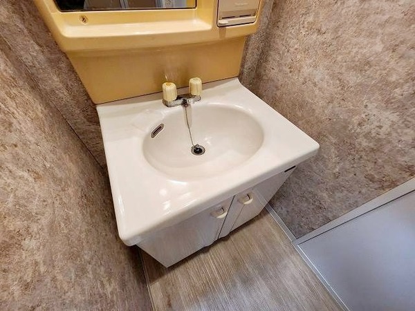 ファミーラシオン103号室 洗面